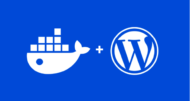 Docker para desarrollo WordPress + Next.js: Entorno local perfecto